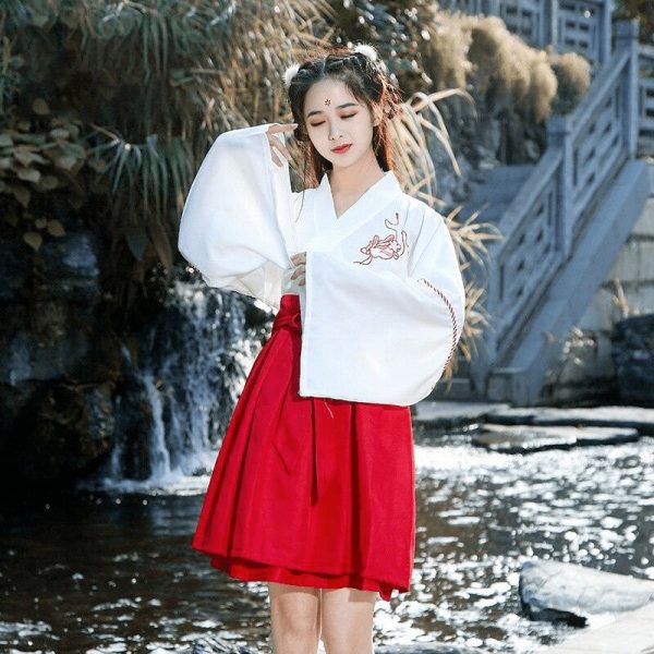 costume hanfu élégant