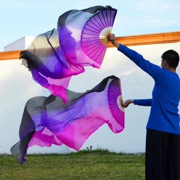 Éventails Chinois de Danse Noirs Violets et Roses